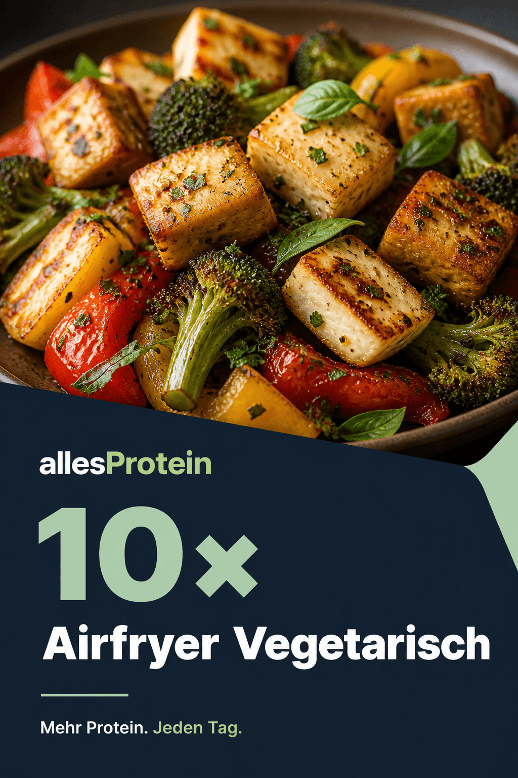 E-Book Airfryer Vegetarisch
